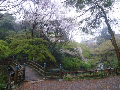 浜松城公園　日本庭園