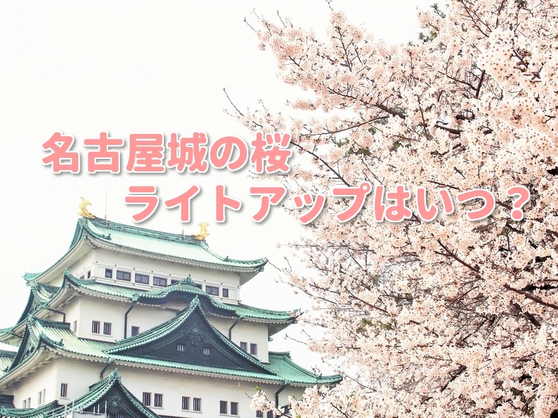名古屋城19桜ライトアップや見頃はいつ 見所とおもてなし武将隊とは さくら杏華の四季折々